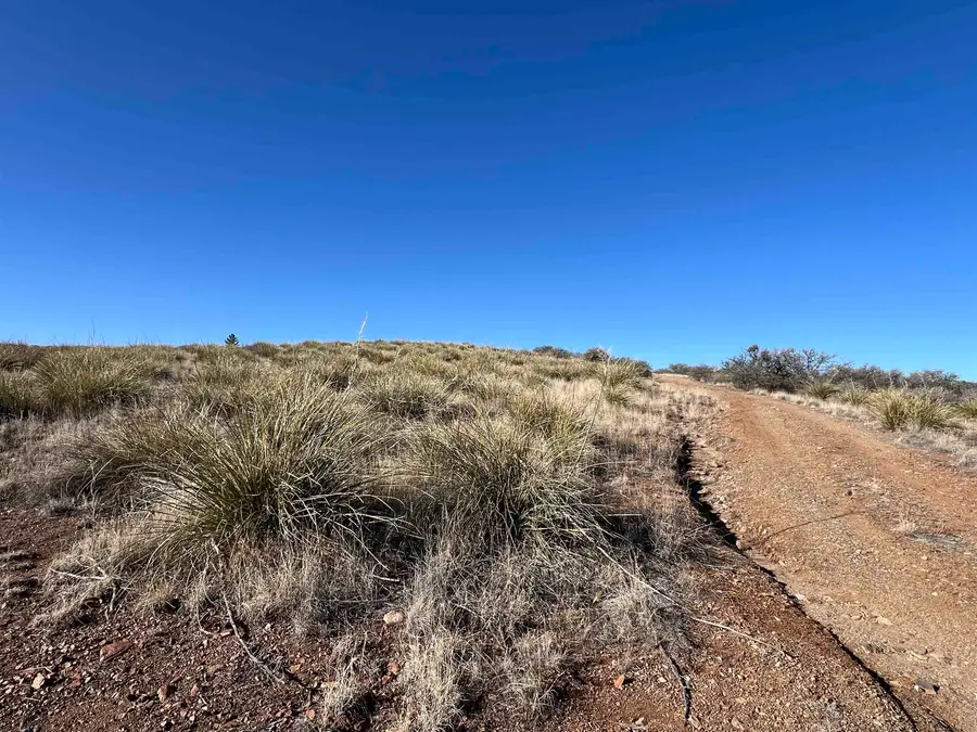 88 X Running Iron, Silver City, NM 88061 - #3