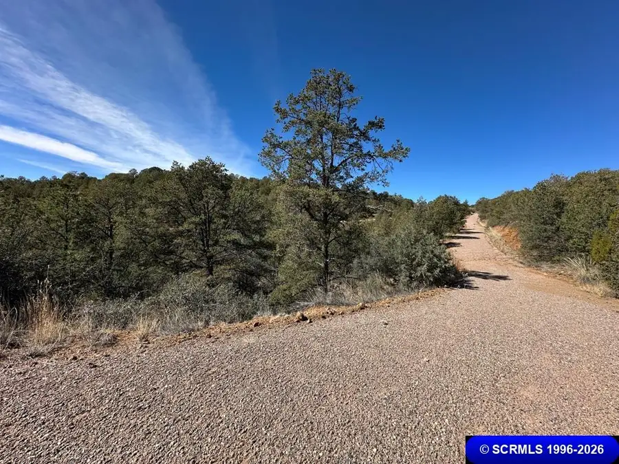 400 Camino De Viento, Silver City, NM 88061 - #3