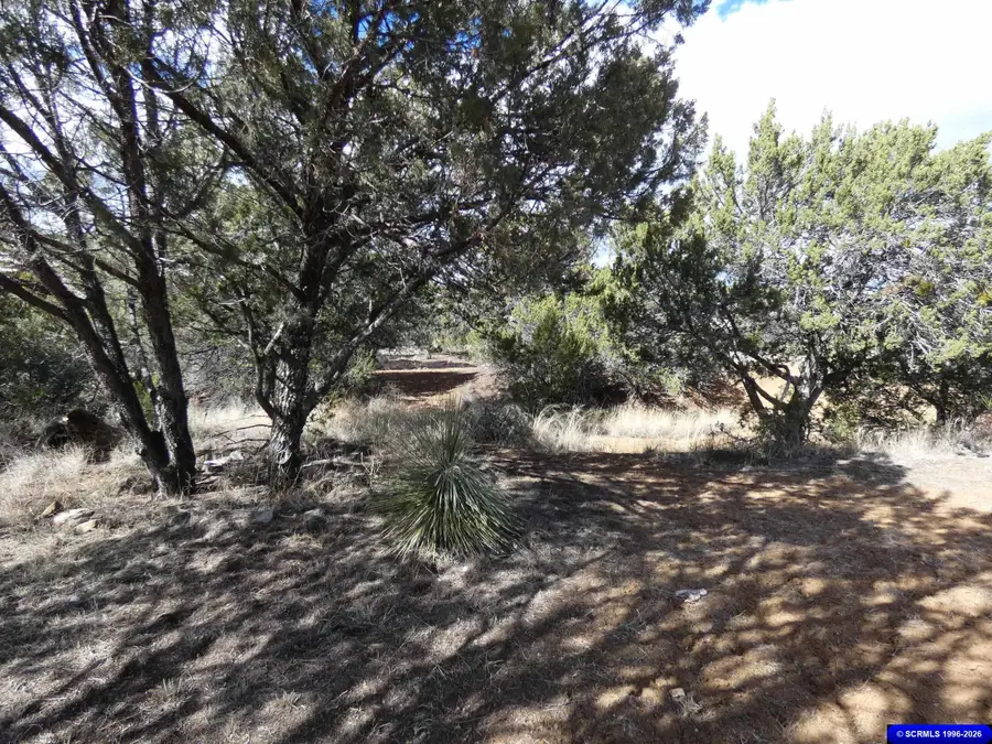 2185 E 32nd Bypass Street, Silver City, NM 88061 - #2