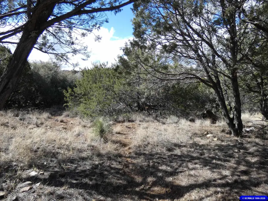 2185 E 32nd Bypass Street, Silver City, NM 88061 - #3