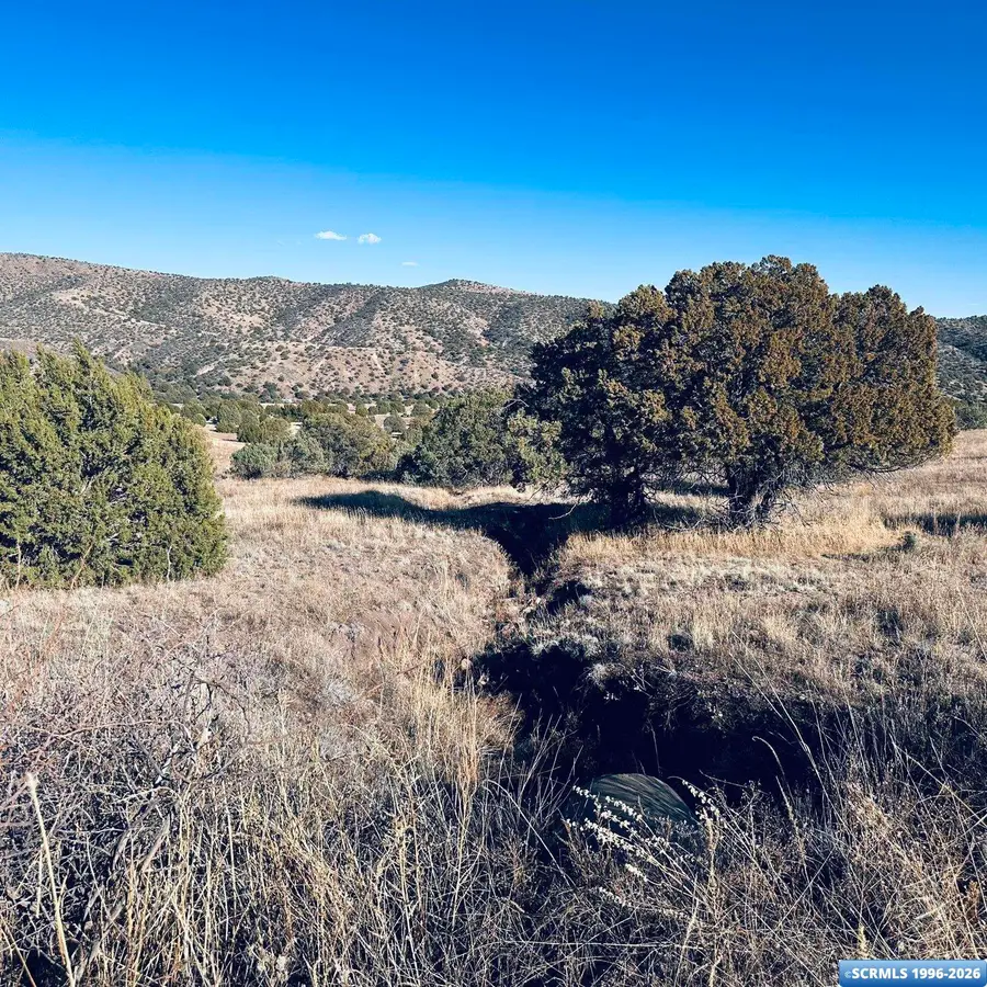 7x San Tomas Road, San Lorenzo, NM 88041 - #3