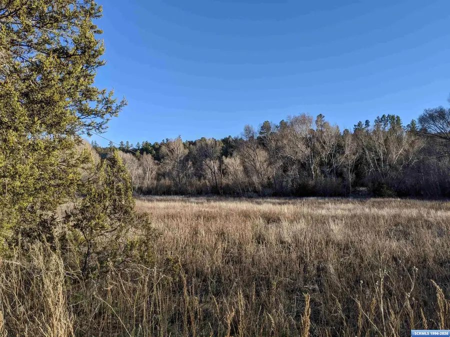 XX Highway 35, Trout Valley, NM 88049 - #2