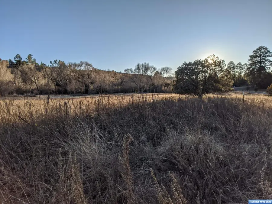 XX Highway 35, Trout Valley, NM 88049 - #3