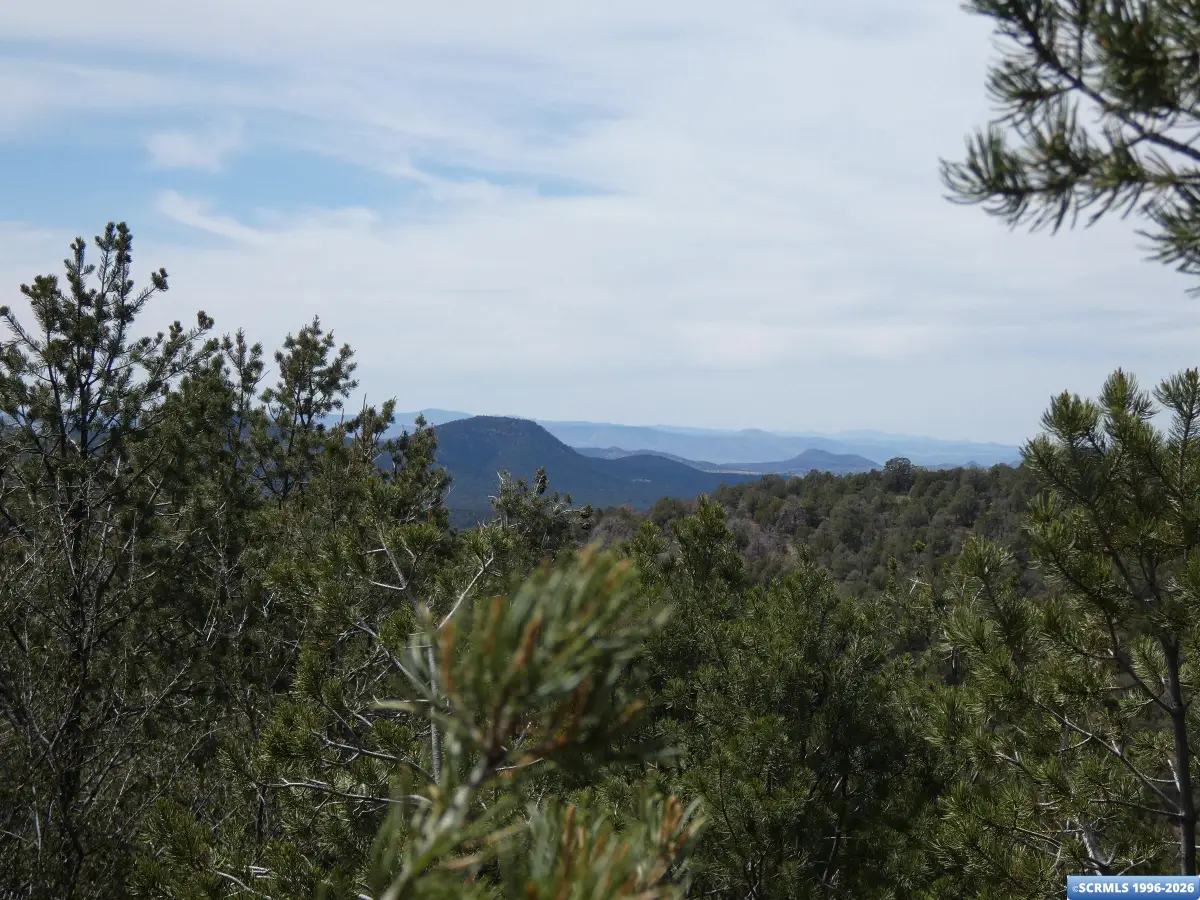 ## Radio Tower Road, Pinos Altos, NM 88053 - #1