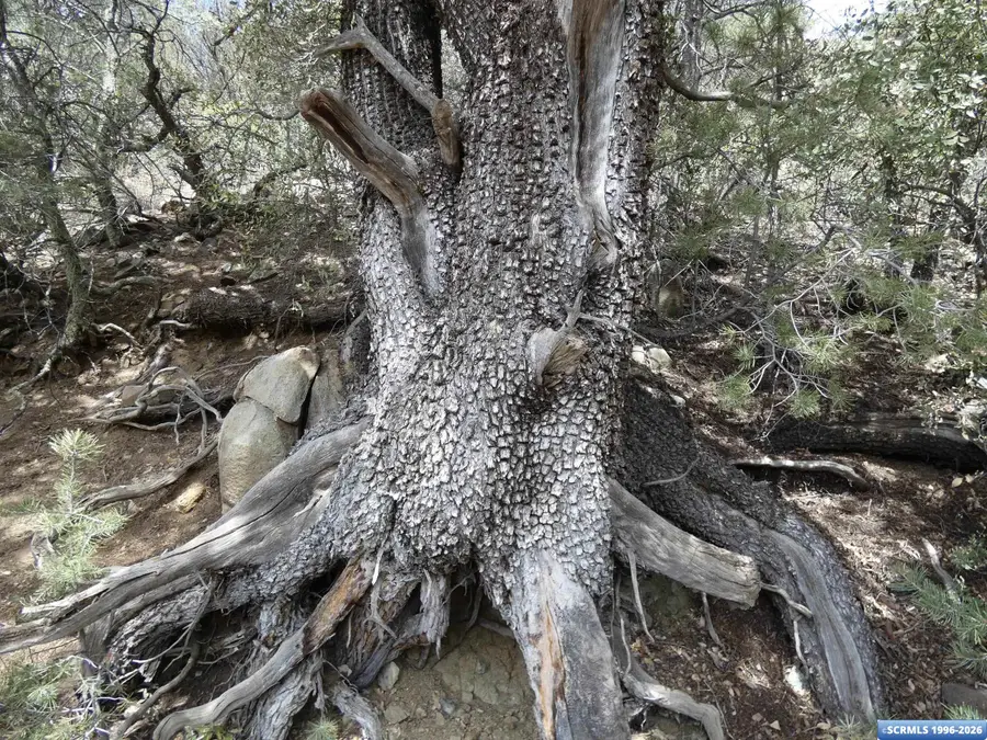 ## Radio Tower Road, Pinos Altos, NM 88053 - #2