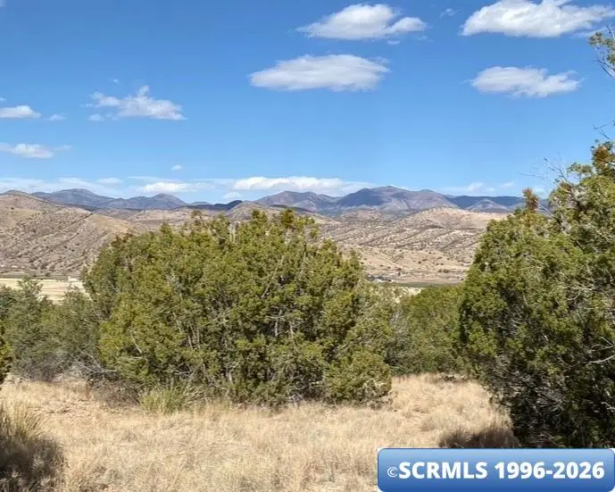 297 Caballo Blanco Street, Mimbres, NM 88049 - #3