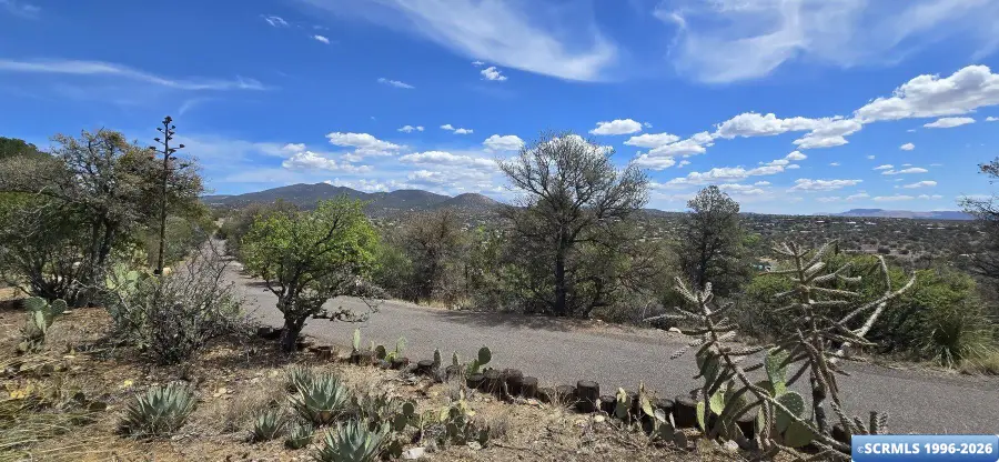 4205 Tom Lyons Dr, Silver City, NM 88061 - #3