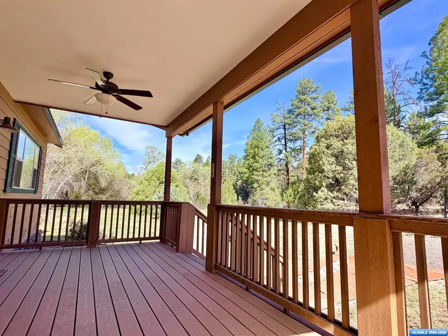 991 Hwy 35, Trout Valley, NM 88049 - #2
