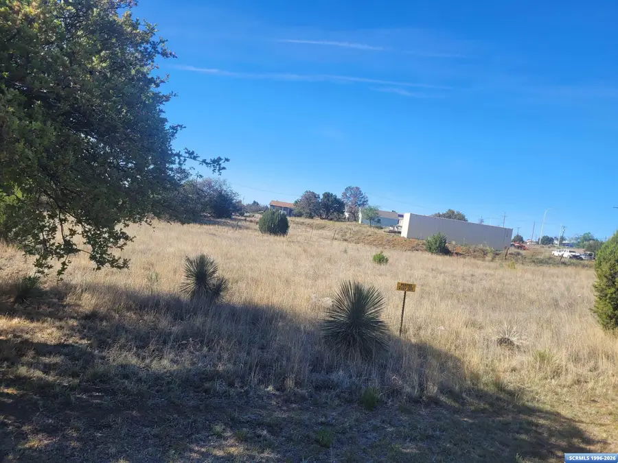 2998 Pinos Altos Street, Silver City, NM 88061 - #2