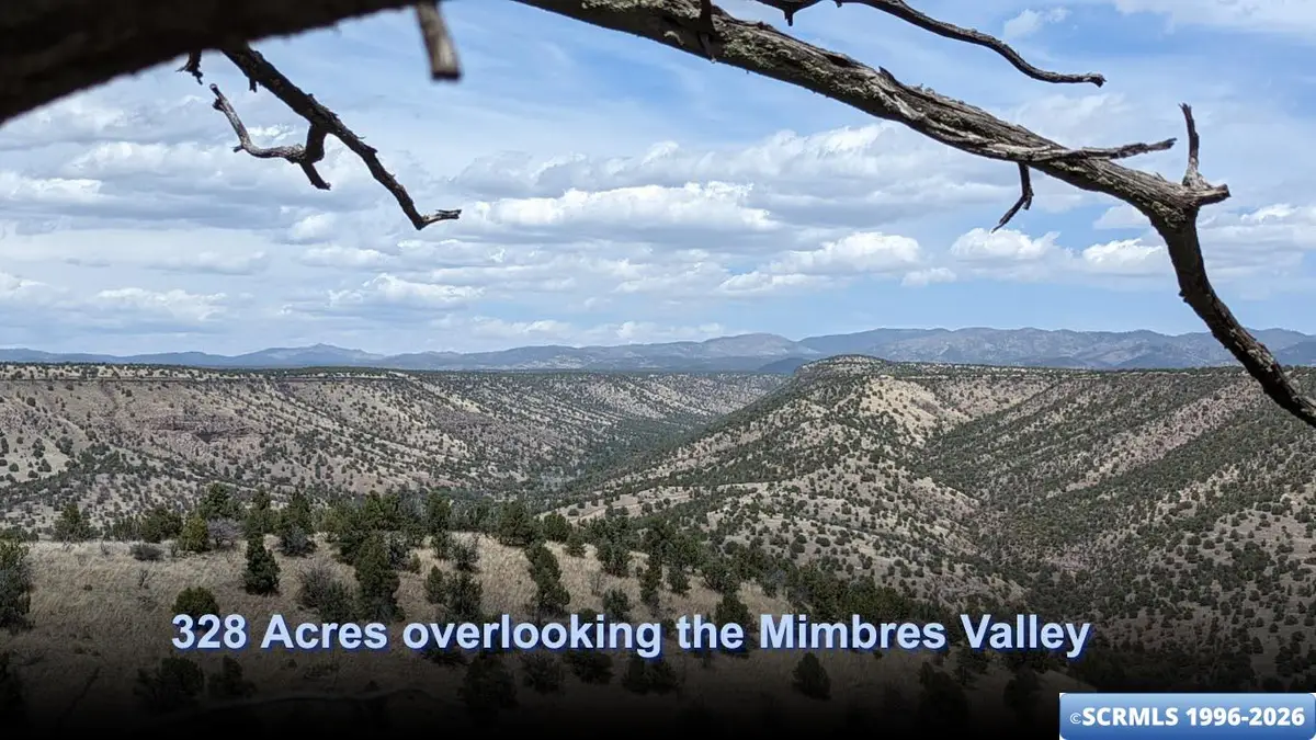 3515x Highway 35, Mimbres, NM 88049 - #1