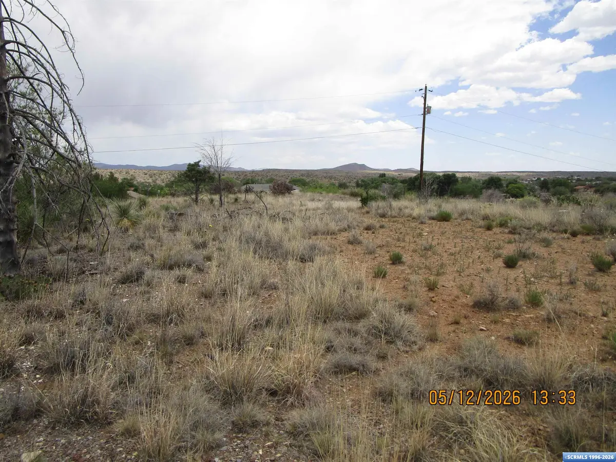 731 Spear Drive, Silver City, NM 88061 - #1