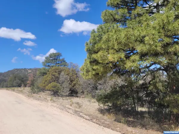 XX Tyrone Thompson Road, Silver City, NM 88061