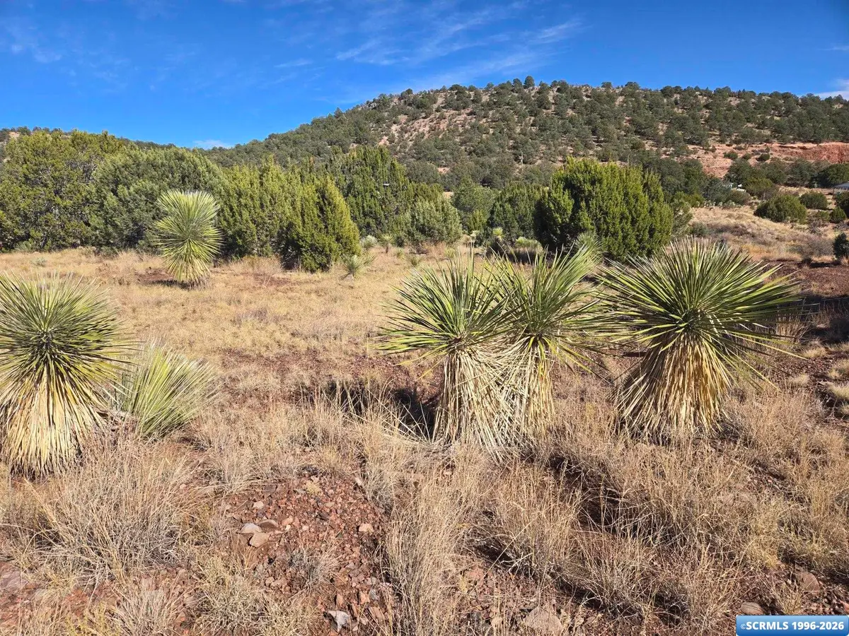 20 Dewey Avenue, Silver City, NM 88061 - #1