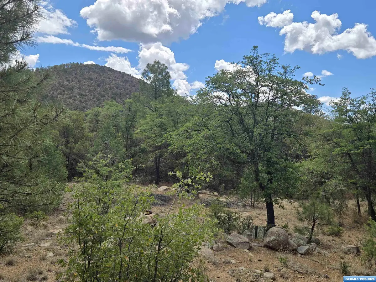 XX Boulder Tr., Pinos Altos, NM 88053 - #1