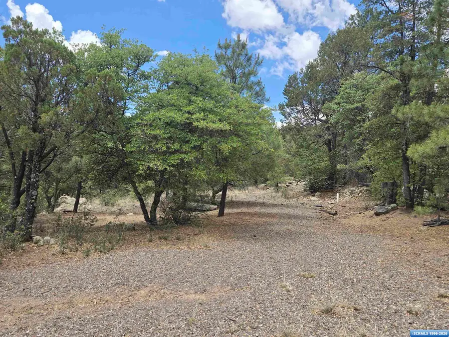 XX Boulder Tr., Pinos Altos, NM 88053 - #2