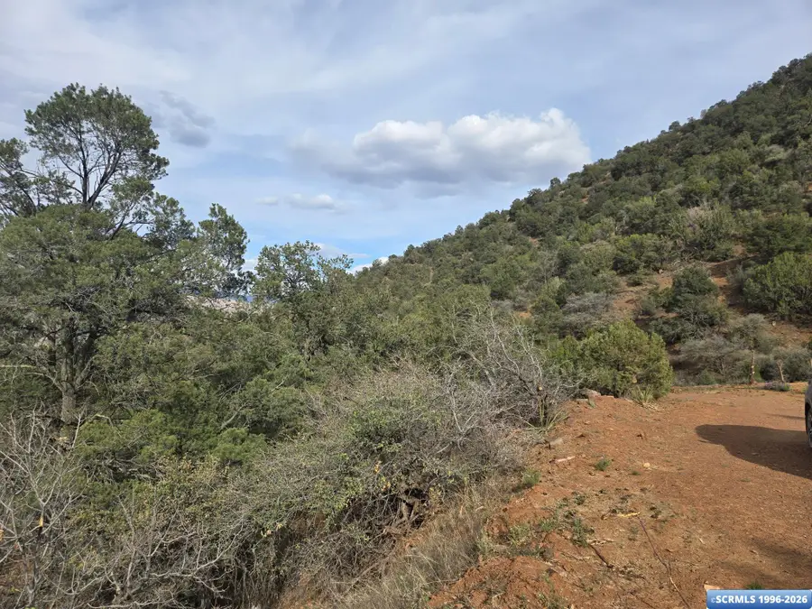 xx Poncho Road, Mimbres, NM 88061 - #3