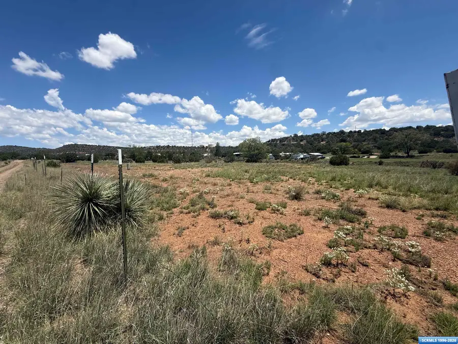 Tiger Lode, Silver City, NM 88061 - #2
