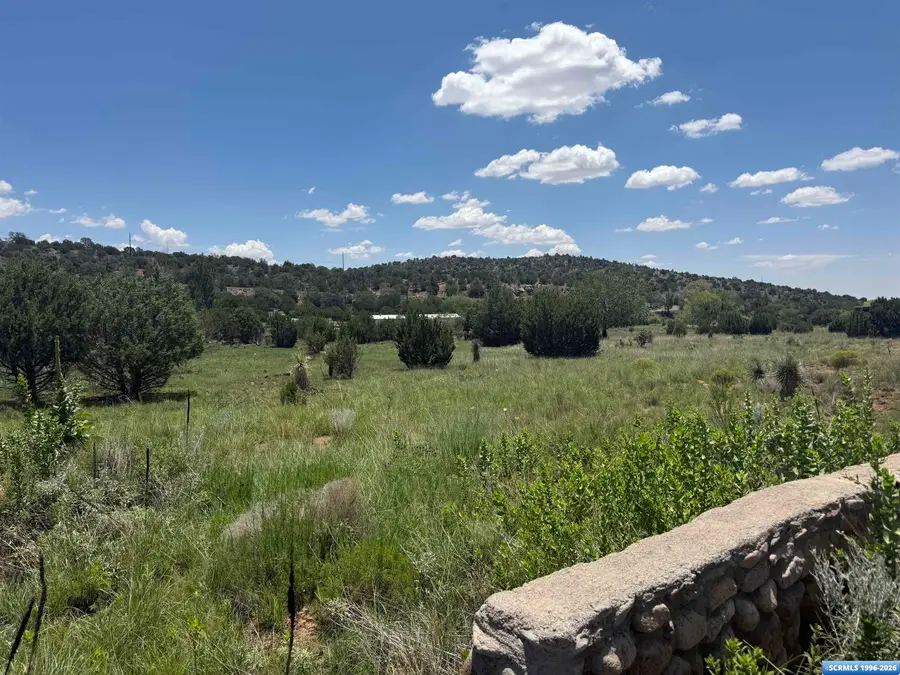 Tiger Lode, Silver City, NM 88061 - #3
