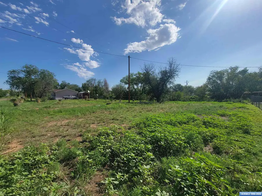 3950 Broken Arrow, Silver City, NM 88061 - #3