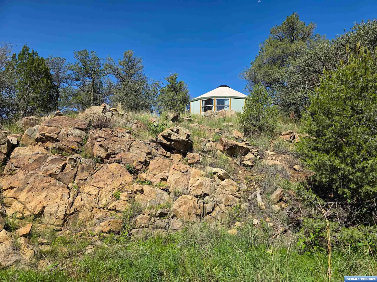 37 Black Dog Road, Silver City, NM 88061 - #1