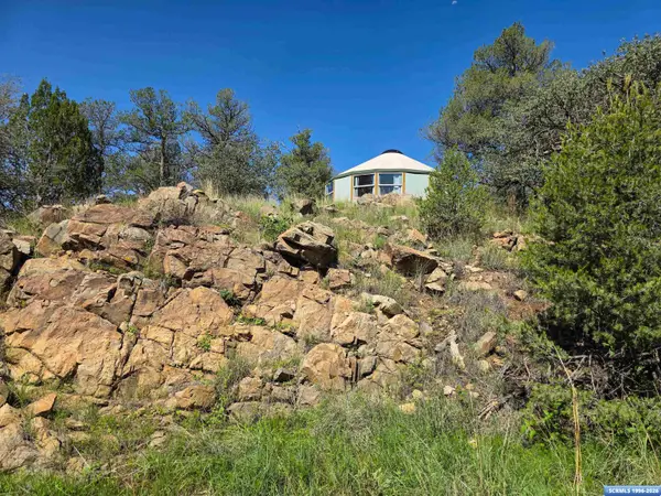 37 Black Dog Road, Silver City, NM 88061