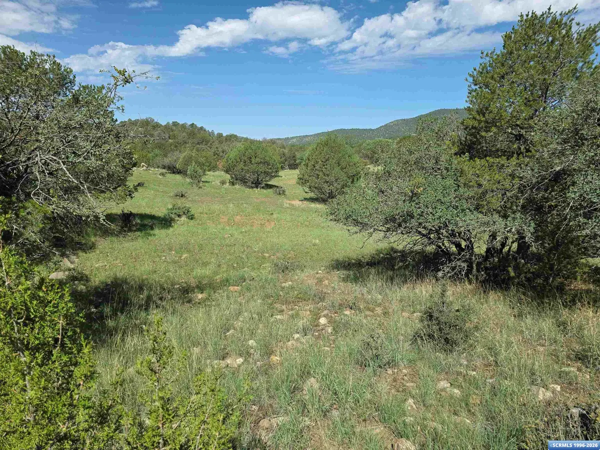 37-X1 Black Dog Road, Silver City, NM 88061 - #1
