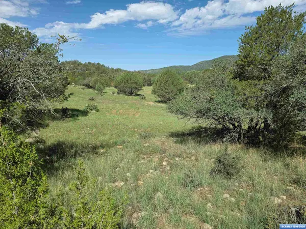 37-X1 Black Dog Road, Silver City, NM 88061