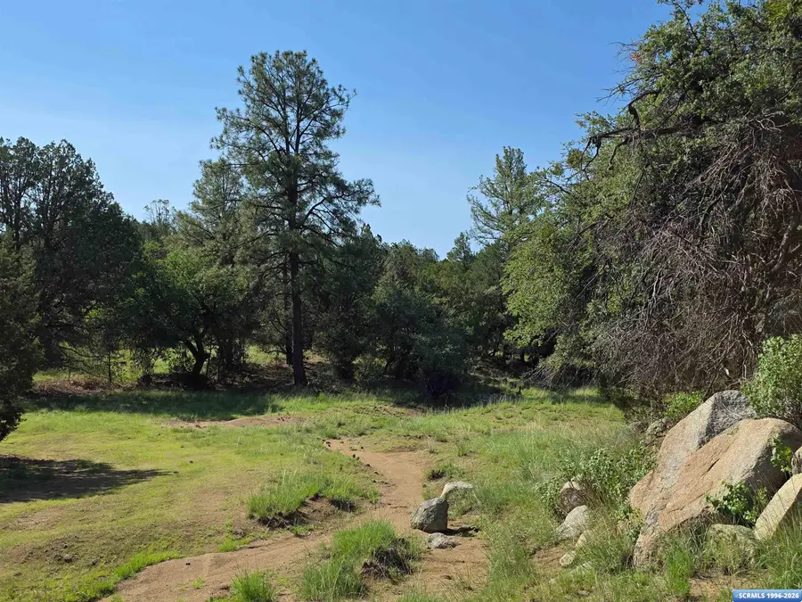 37-X1 Black Dog Road, Silver City, NM 88061 - #2