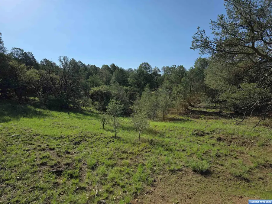 37-X1 Black Dog Road, Silver City, NM 88061 - #3