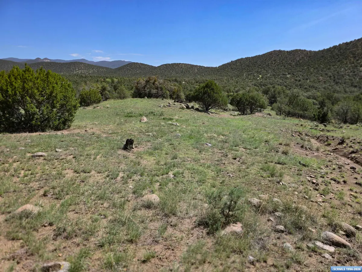 37-X2 Black Dog Road, Silver City, NM 88061 - #1
