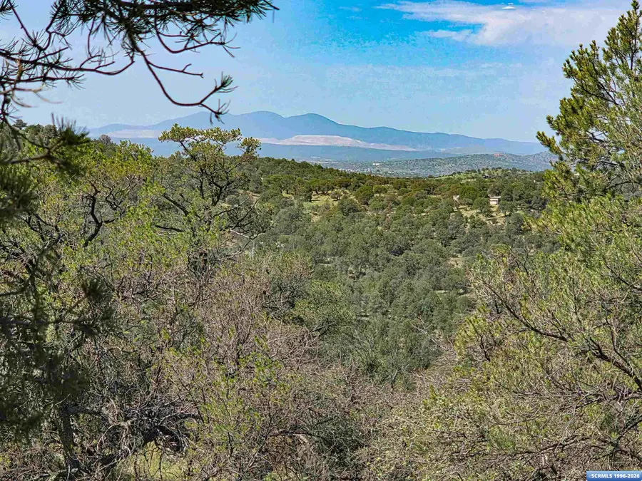 37-X2 Black Dog Road, Silver City, NM 88061 - #2