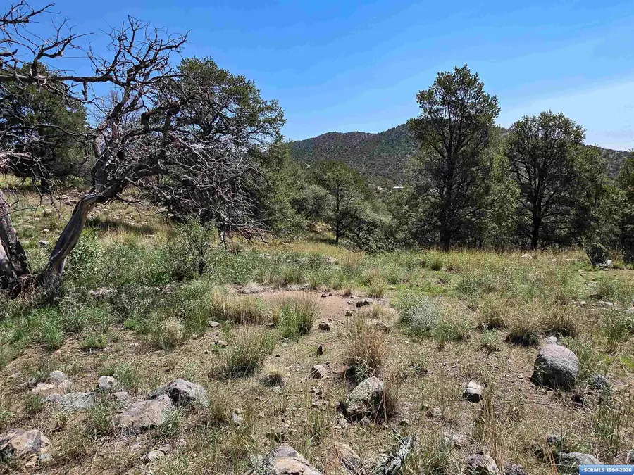 37-X2 Black Dog Road, Silver City, NM 88061 - #3