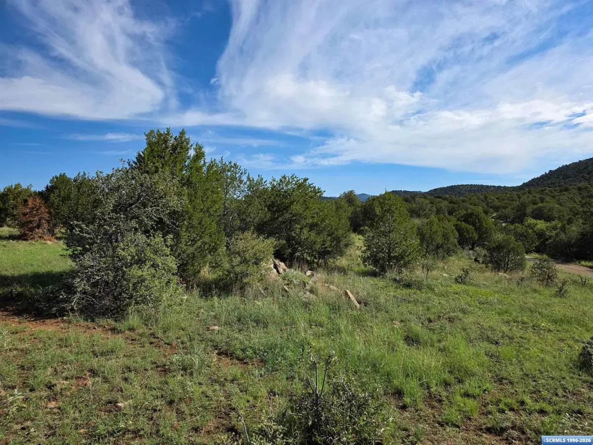 37-X3 Black Dog Road, Silver City, NM 88061 - #1