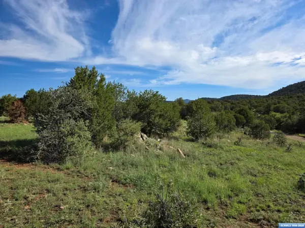 37-X3 Black Dog Road, Silver City, NM 88061