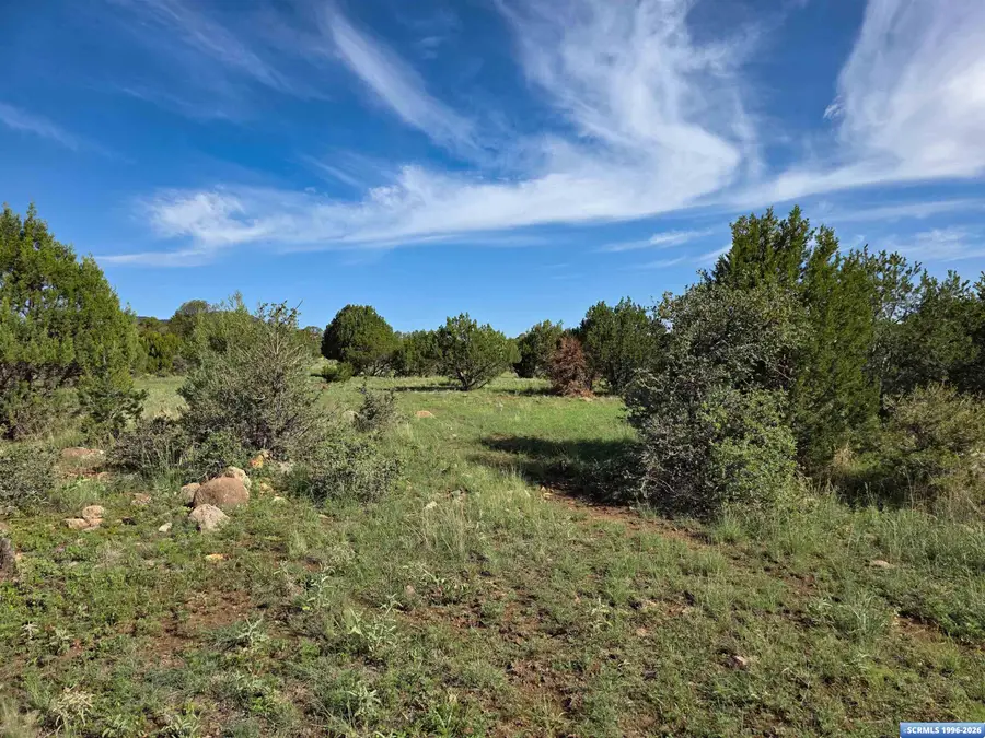 37-X3 Black Dog Road, Silver City, NM 88061 - #2