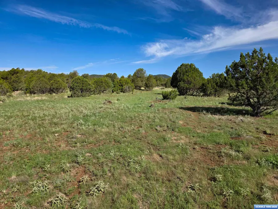 37-X3 Black Dog Road, Silver City, NM 88061 - #3