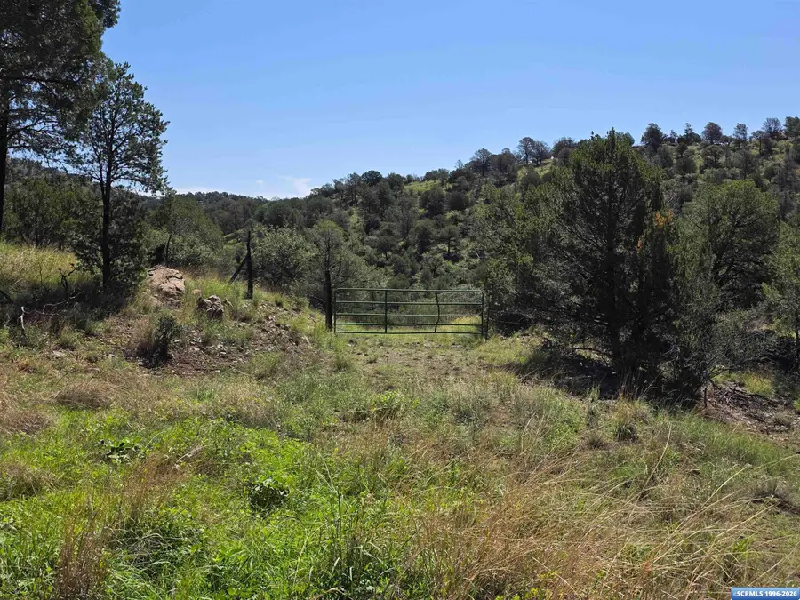 37-X4 Black Dog Road, Silver City, NM 88061 - #3