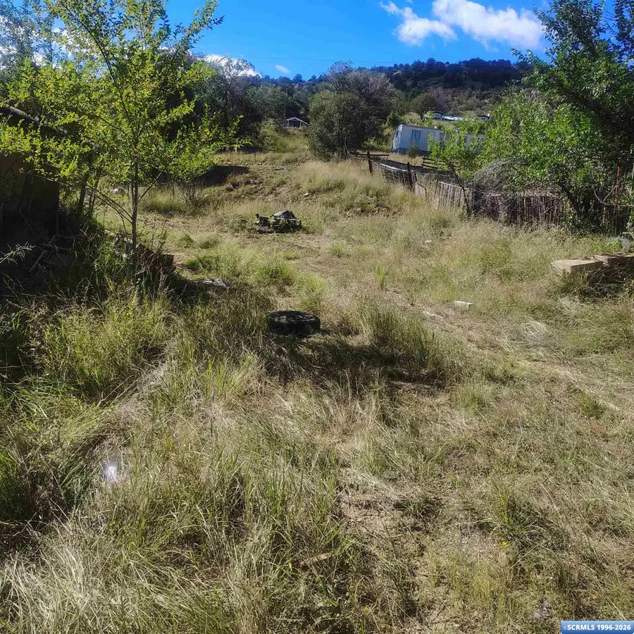 5190 Little Walnut Road, Silver City, NM 88061 - #3