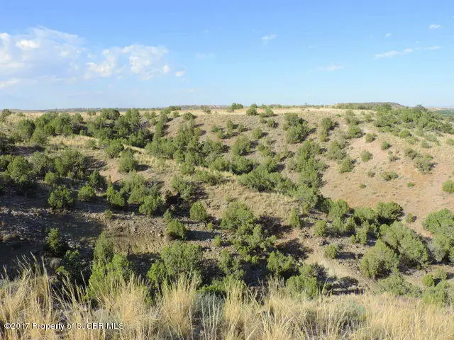 NYA 200 AC Road 3000, Aztec, NM 87410 - #3