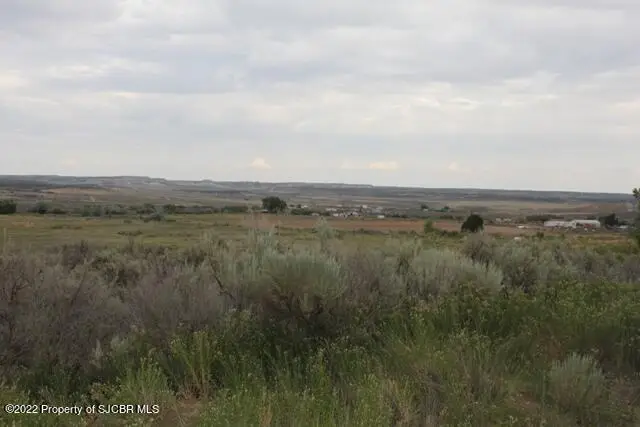 XXX Road 1300, La Plata, NM 87418 - Image #1