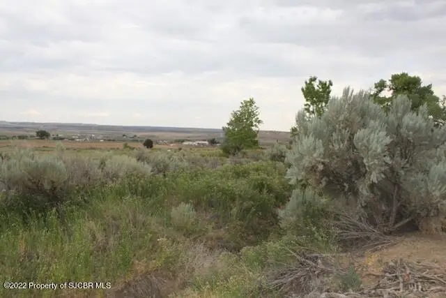 XXX Road 1300, La Plata, NM 87418 - Image #3