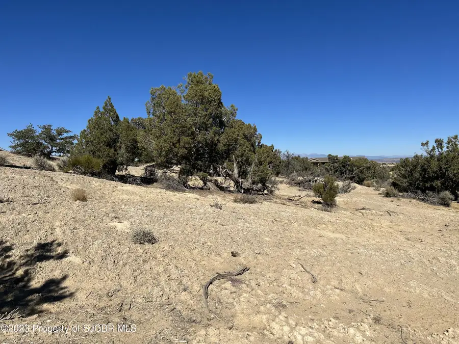LOT 7 Road 2553, Aztec, NM 87410 - Image #3