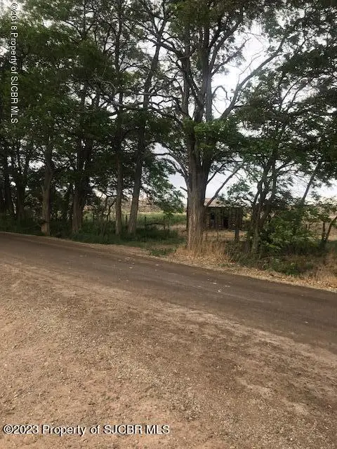 TRACT S2 Road 1330, La Plata, NM 87418