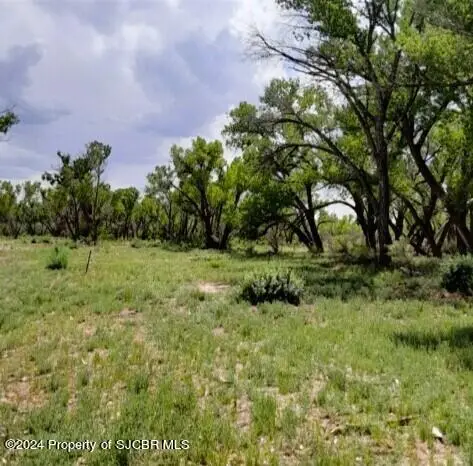 X Road 5195, Bloomfield, NM 87413 - Image #2