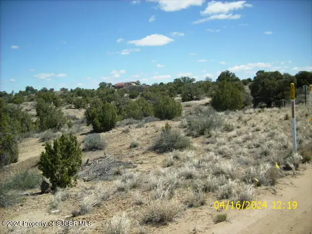 XX Road 3179, Aztec, NM 87410 - #2