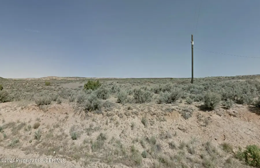 X Road 4599, Blanco, NM 87412 - Image #2