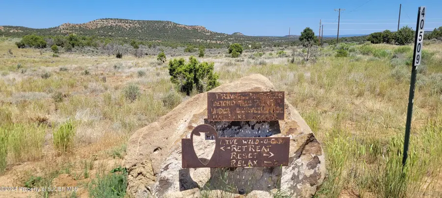 LOTS 85,91 Nm 511, Navajo Dam, NM 87419 - Image #2