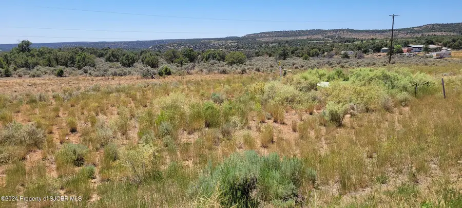 LOTS 85,91 Nm 511, Navajo Dam, NM 87419 - Image #3