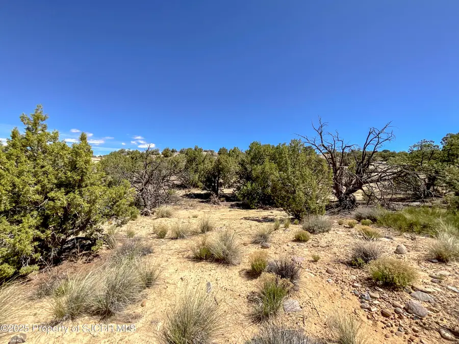 1530 Vista Hermosa Trail, Farmington, NM 87401 - Image #3