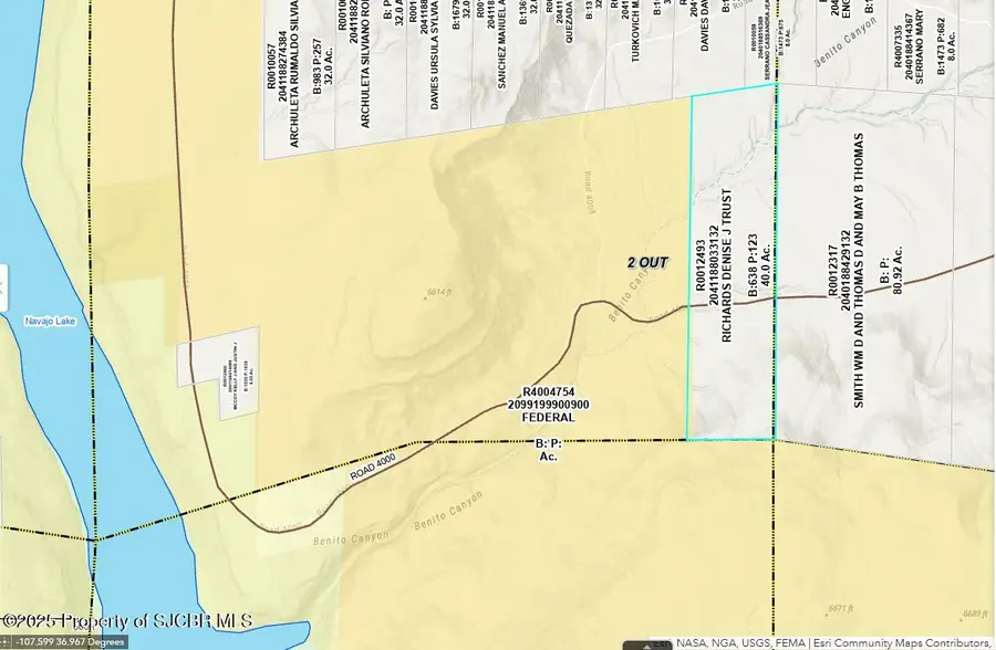 XX Road 4000, Middle Mesa, NM 81137 - Image #3